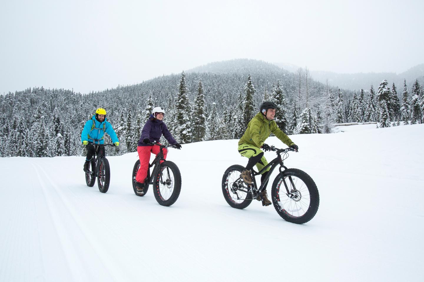 Group of people fat biking