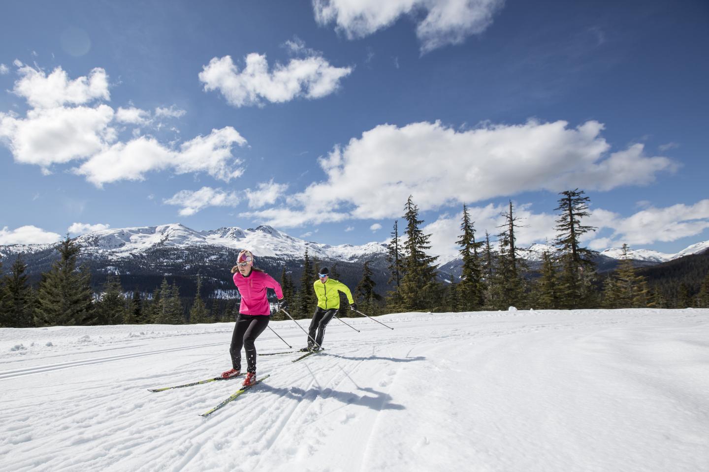 Couple nordic skiing